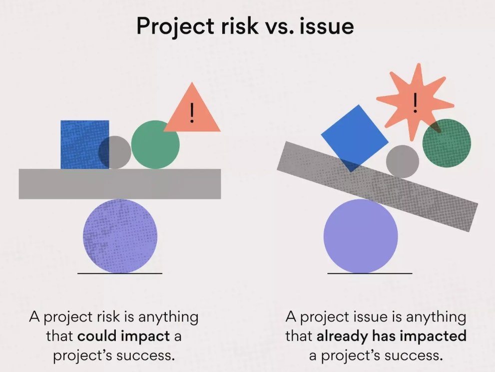 Project Risk Vs Issue